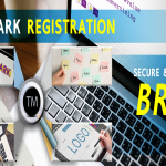 Online trademark registration